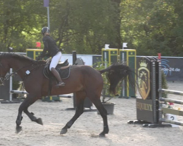 Reitturnier Karlsfeld 2023