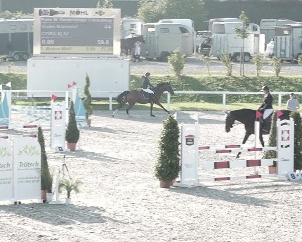 Pferdesporttage Bülach 2021