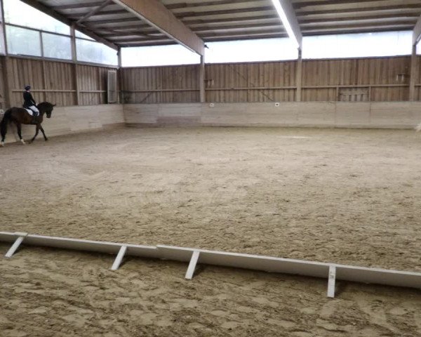 Reitturnier Leingarten 2023