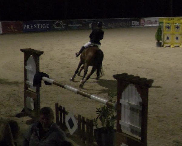 Reitturnier Karlsfeld 2023