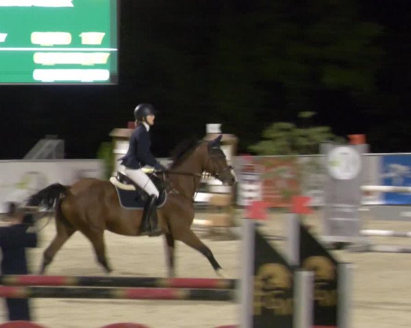 Reitturnier Karlsfeld 2023