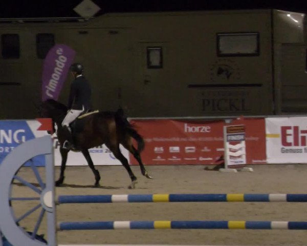 Reitturnier Karlsfeld 2023