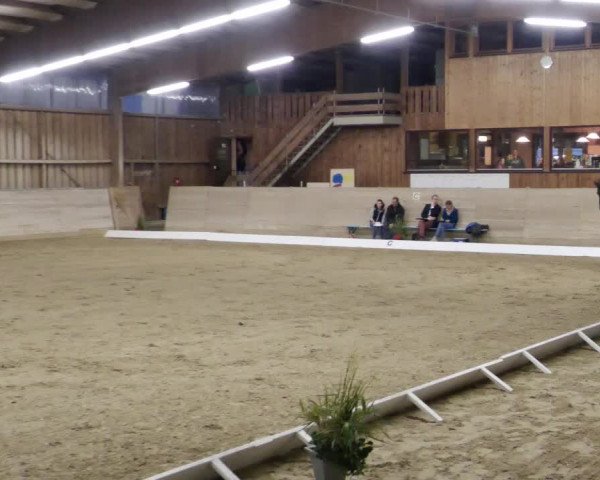 Reitturnier Leingarten 2023