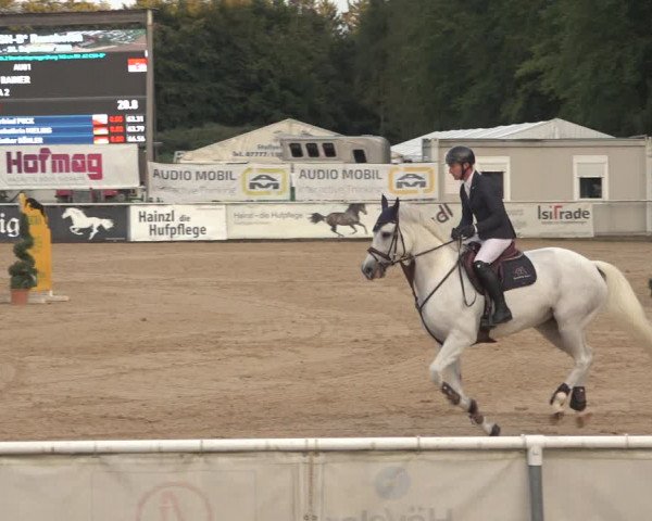 Reitturnier Ranshofen - Braunau am Inn 2023