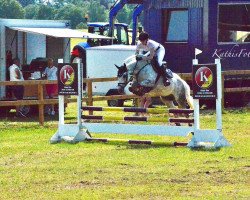 Springpferd Just Me (New-Forest-Pony, 2012, von Orchid's Tygo)