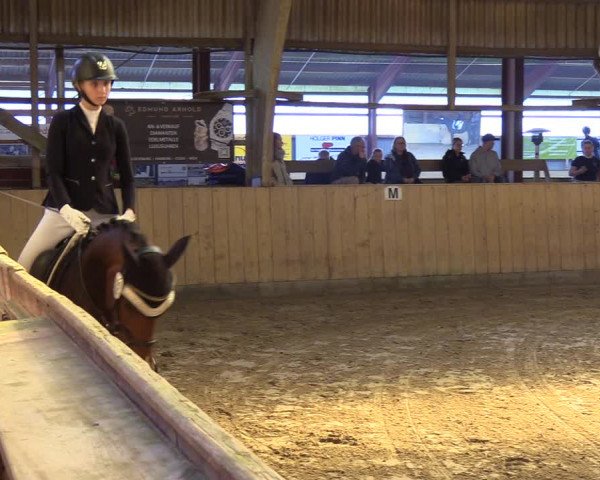 Reitturnier Sörup 2023
