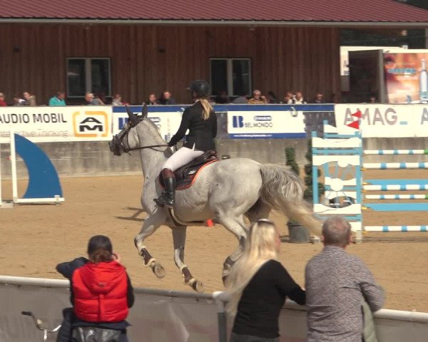 Reitturnier Ranshofen - Braunau am Inn 2023