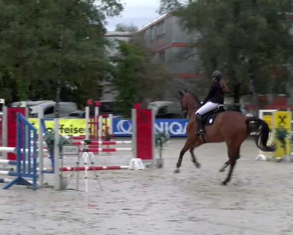 Reitturnier Stadt Bregenz 2023