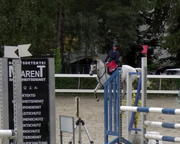 Reitturnier Stadt Bregenz 2023