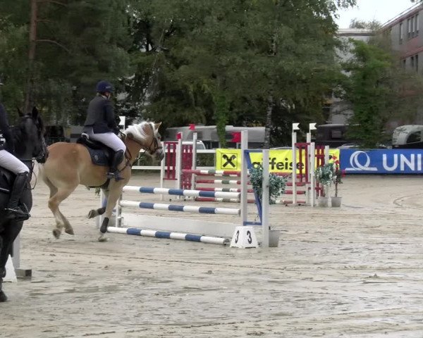 Reitturnier Stadt Bregenz 2023