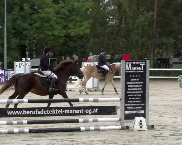Reitturnier Stadt Bregenz 2023