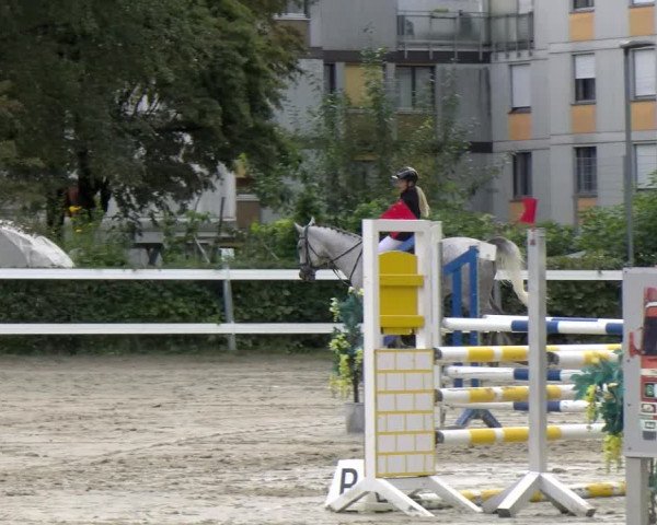 Reitturnier Stadt Bregenz 2023