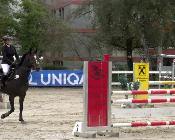 Reitturnier Stadt Bregenz 2023