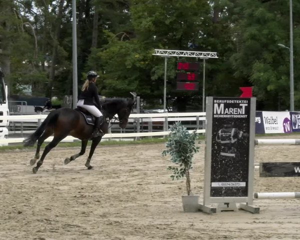 Reitturnier Stadt Bregenz 2023