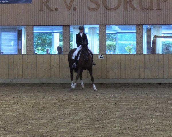 Reitturnier Sörup 2023