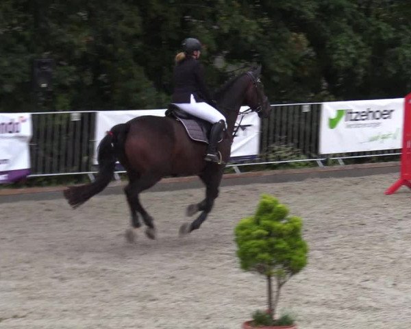 Reitturnier Sörup 2021