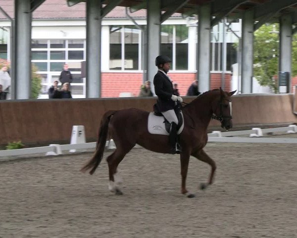 Reitturnier Langenfeld - Gut Langfort 2023