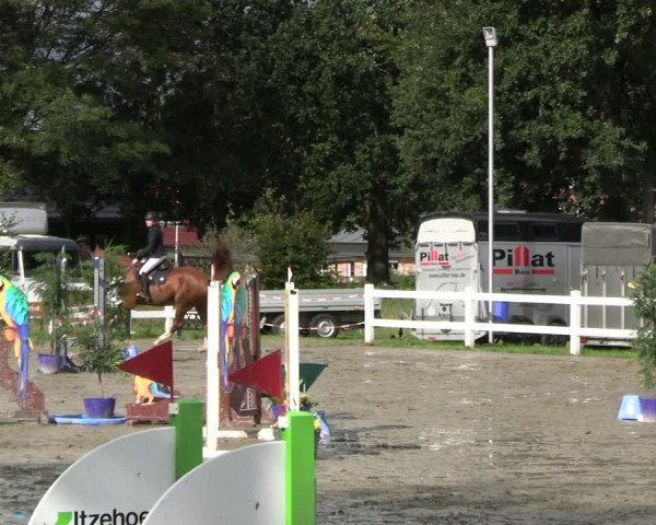 Reitturnier Mildstedt - JTN 2023