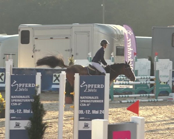 Reitturnier Ranshofen - Braunau am Inn 2023