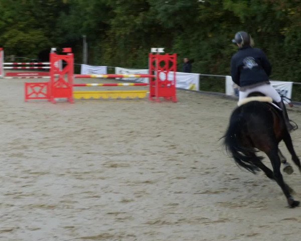 Reitturnier Leingarten 2023