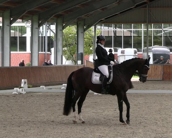 Reitturnier Langenfeld - Gut Langfort 2023