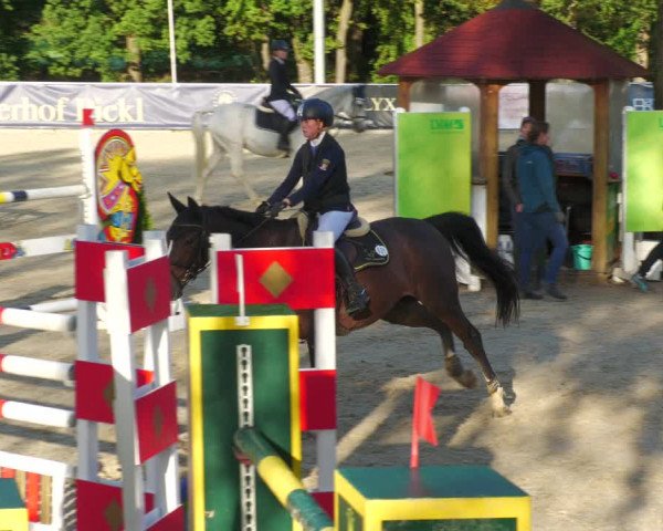 Reitturnier Karlsfeld 2023