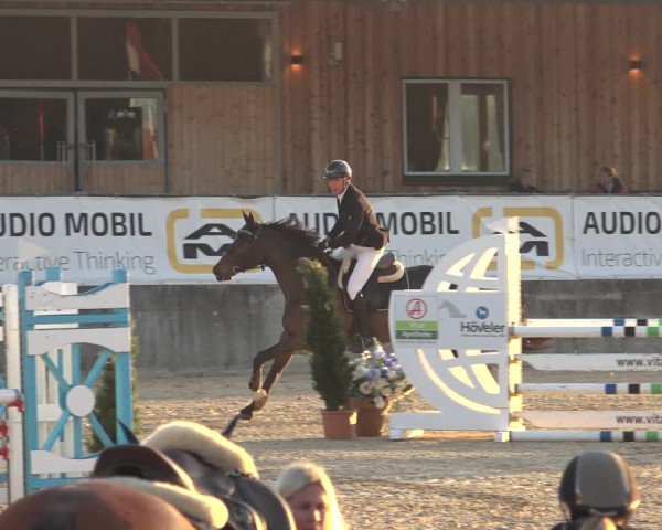 Reitturnier Ranshofen - Braunau am Inn 2023