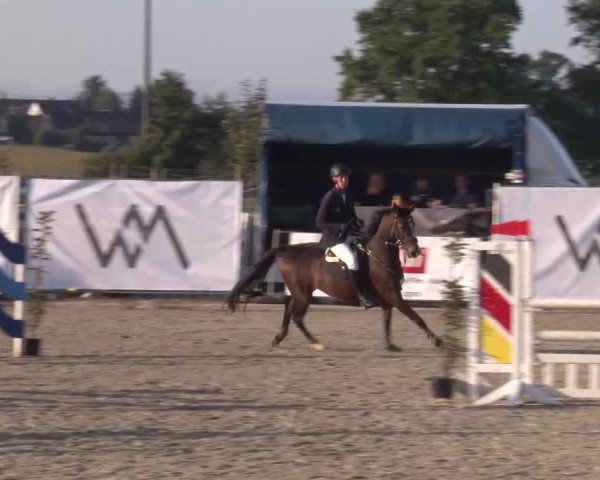 Reitturnier Poxdorf/Ofr 2023