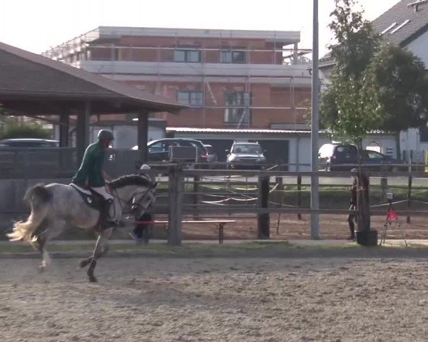 Reitturnier Poxdorf/Ofr 2023