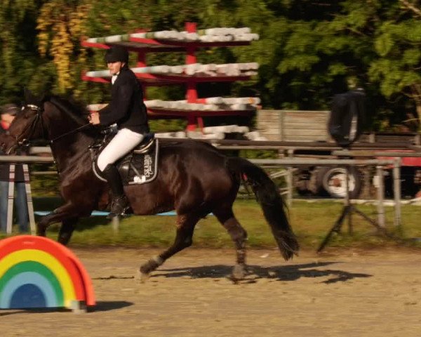 Reitturnier Leingarten 2023