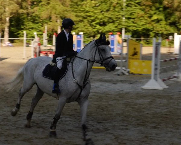 Reitturnier Leingarten 2023