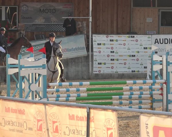 Reitturnier Ranshofen - Braunau am Inn 2023