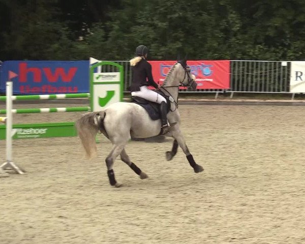 Reitturnier Sörup 2021