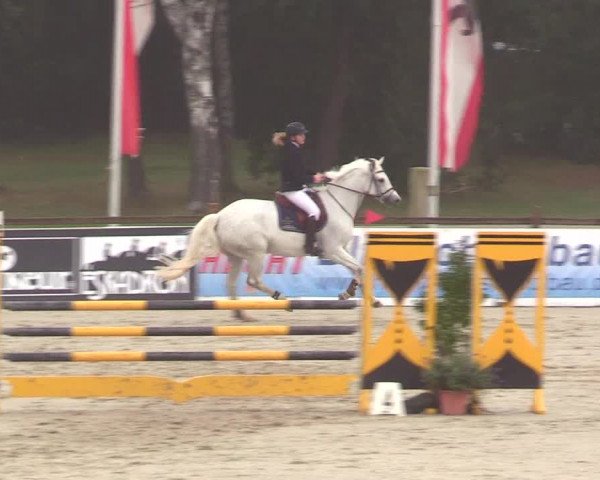 Reitturnier Westergellersen 2023
