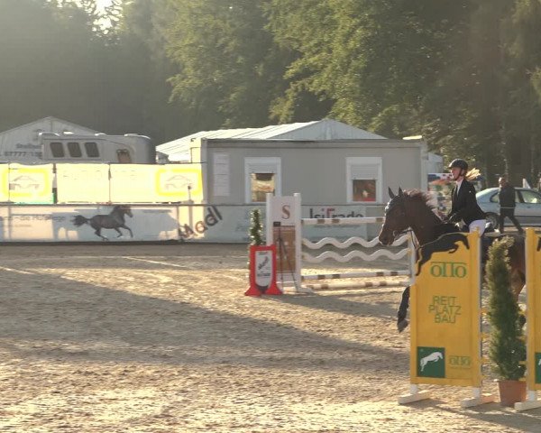Reitturnier Ranshofen - Braunau am Inn 2023
