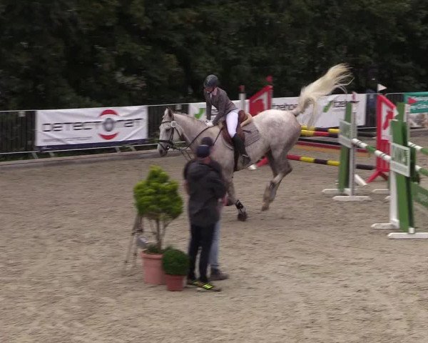 Reitturnier Sörup 2021