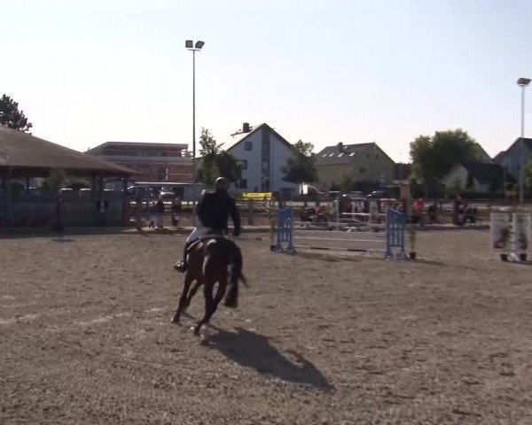 Reitturnier Poxdorf/Ofr 2023
