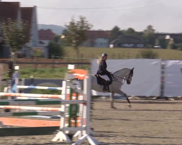 Reitturnier Poxdorf/Ofr 2023