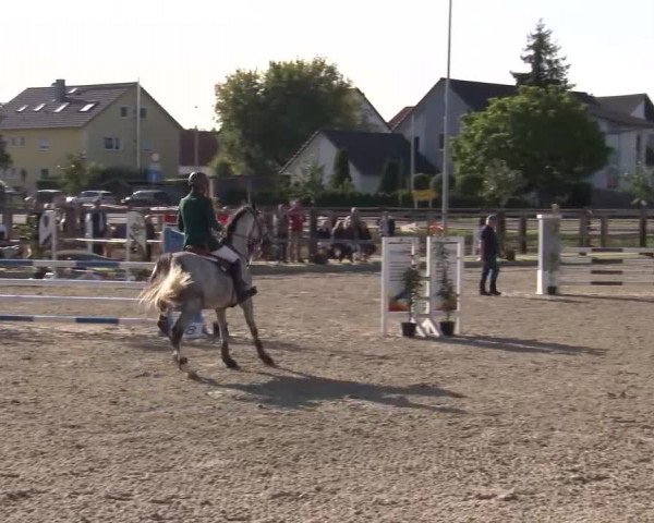 Reitturnier Poxdorf/Ofr 2023