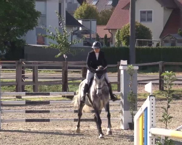 Reitturnier Poxdorf/Ofr 2023