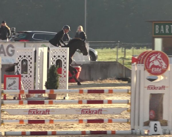 Reitturnier Ranshofen - Braunau am Inn 2023