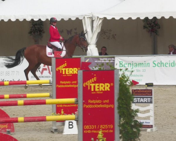 Reitturnier Karlsfeld 2023