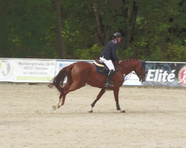 Reitturnier Karlsfeld 2023