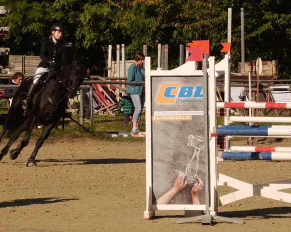 Reitturnier Leingarten 2023