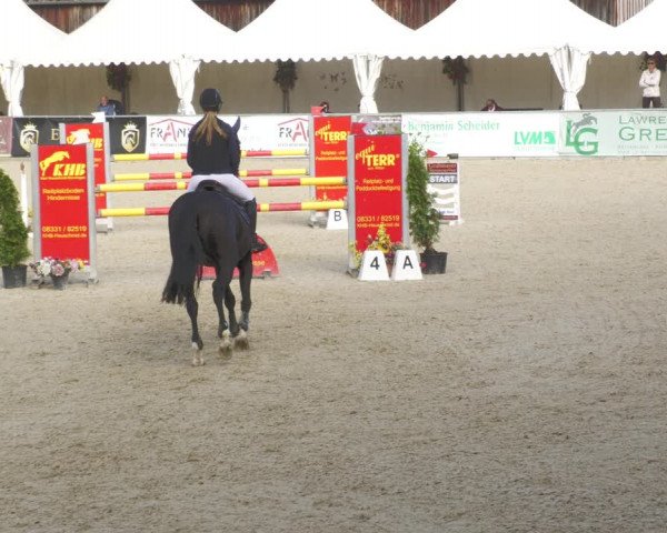 Reitturnier Karlsfeld 2023