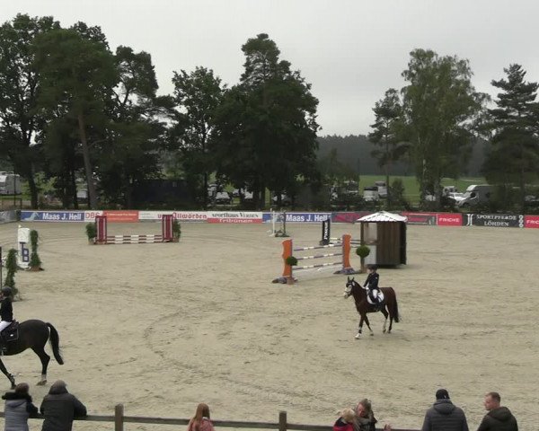 Reitturnier Westergellersen 2023