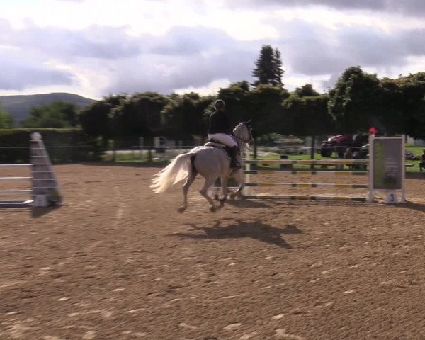 Reitturnier Birkungen 2023