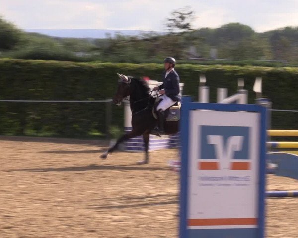 Reitturnier Birkungen 2023