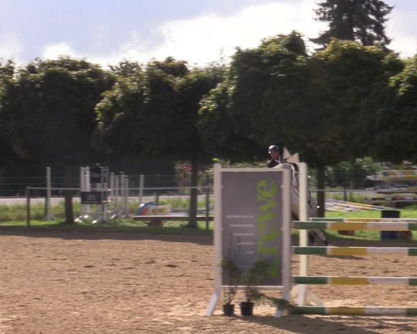 Reitturnier Birkungen 2023