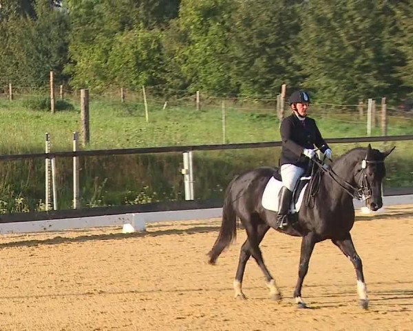 Reitturnier Altentrüdingen/Mfr. 2023